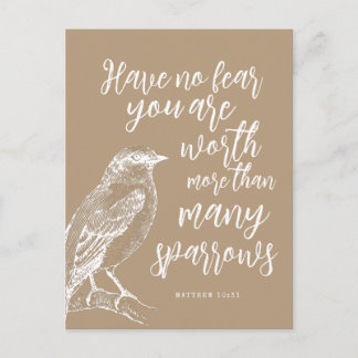 Matthew 10:31 JW Encouragement Carte postale