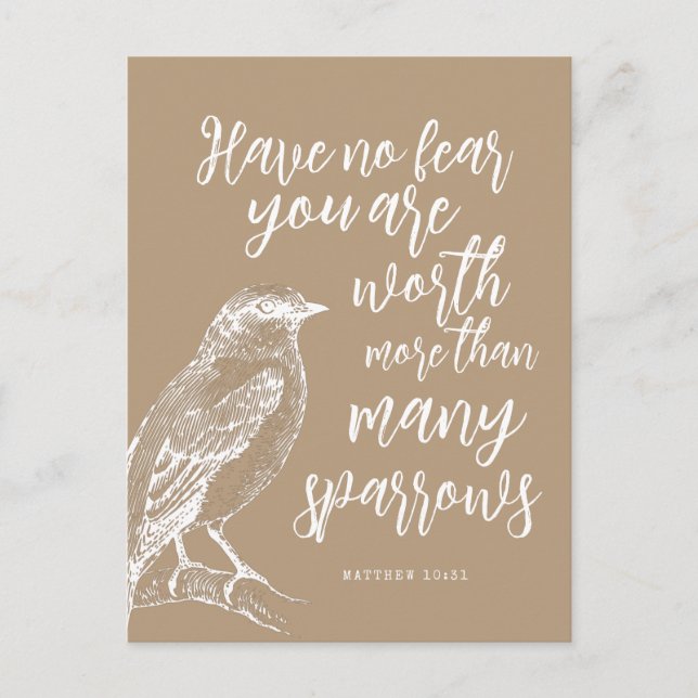 Matthew 10:31 JW Encouragement Carte postale (Devant)
