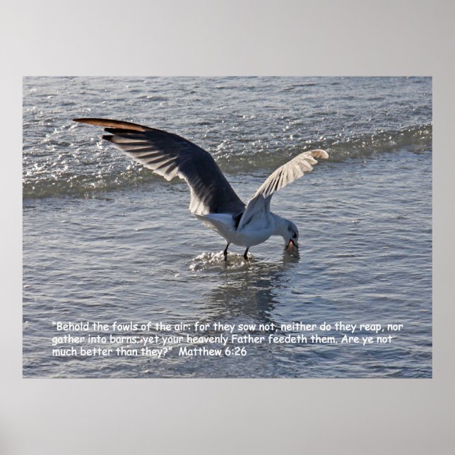 Matthieu 6:26 Poster des écritures (Devant)