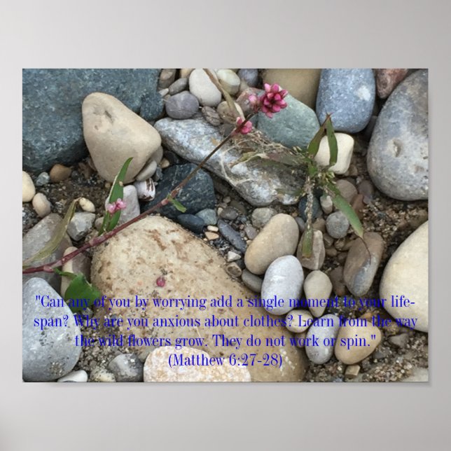 Matthieu 6:27-28 Poster (Devant)
