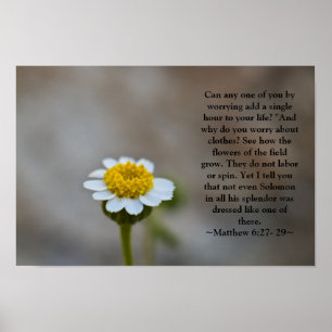 Matthieu 6:27- 29 Poster