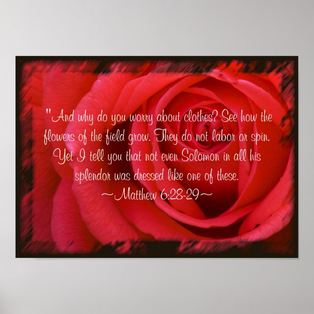 Matthieu 6:28-29 Poster (Devant)