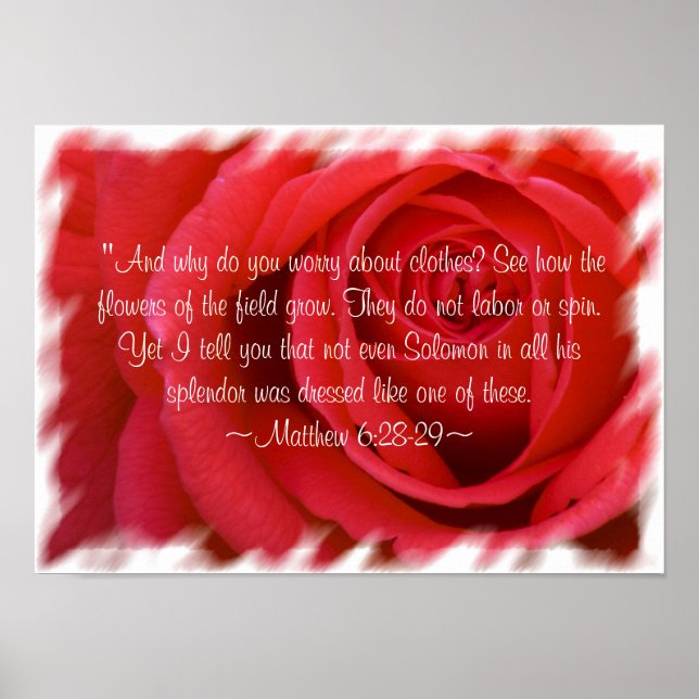 Matthieu 6:28-29 Poster 2 (Devant)