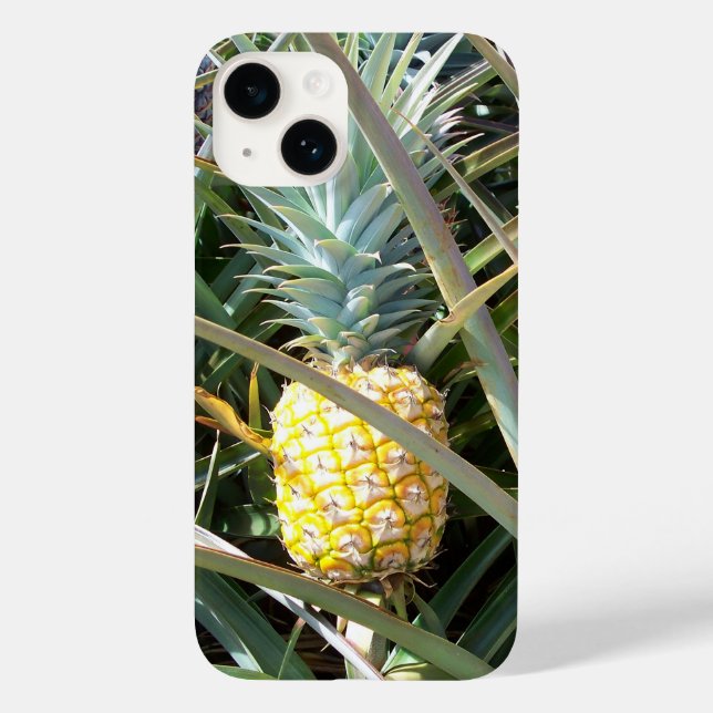 Maui Gold Hawaii Ananas Coque iPhone 14 (Verso)