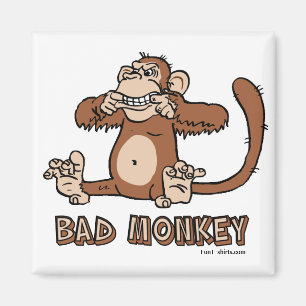 Mauvais aimant de singe