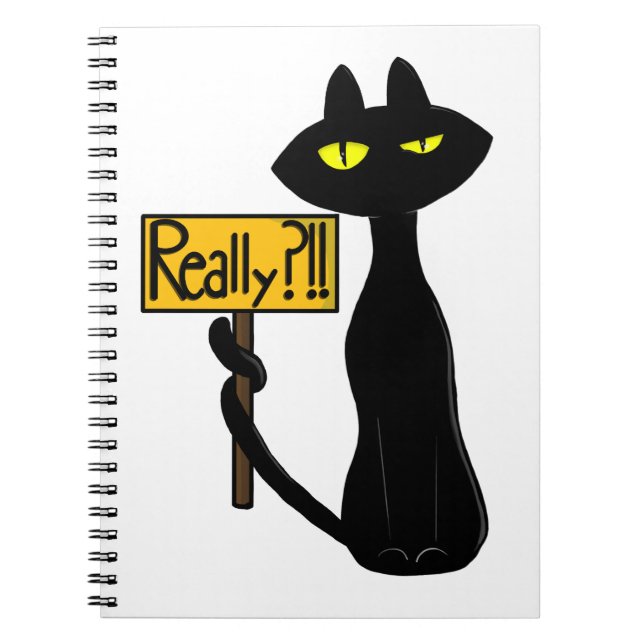 Mauvais Boogie - Le Chat- "Vraiment ?!!"  cahier d (Devant)