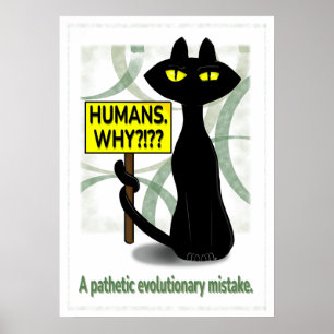 Mauvaise Boogie Affiche Drôle - Humains. Pourquoi?