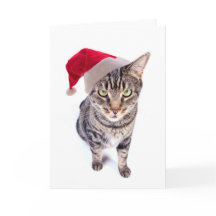 Mauvaise carte de Noël de chat de Père Noël