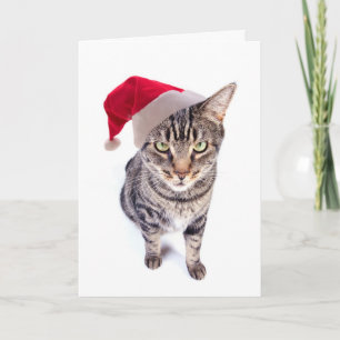 Mauvaise carte de Noël de chat de Père Noël