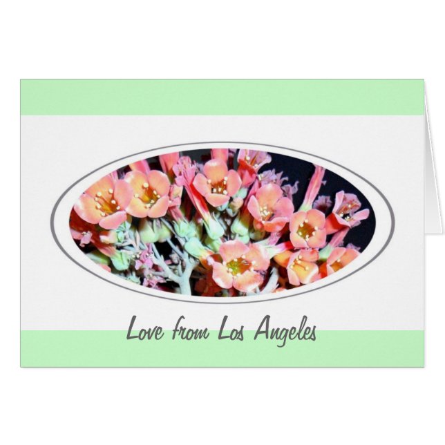 "Mauvaise herbe" (Devant horizontal)