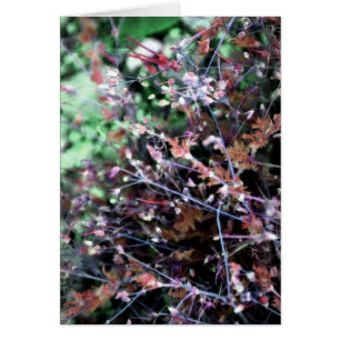 mauvaises herbes en rouge et vert