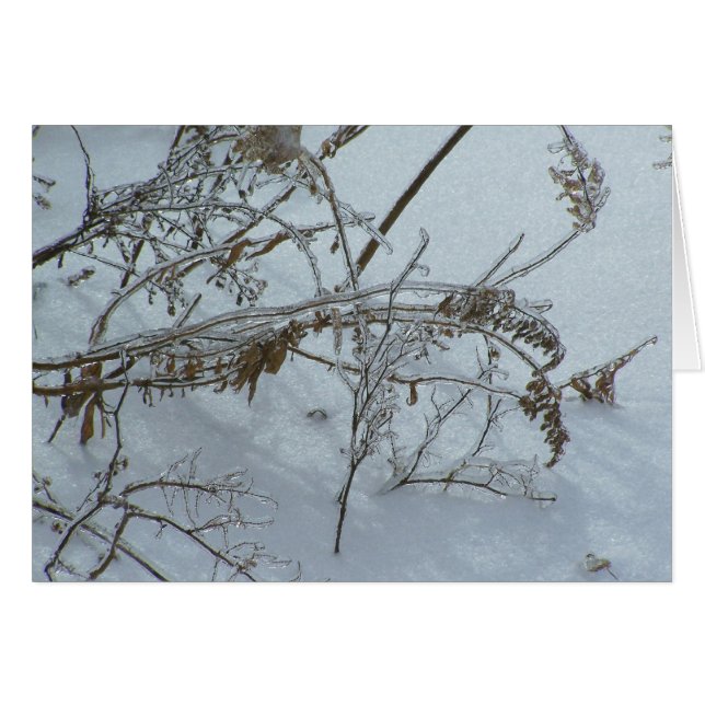 mauvaises herbes hivernales (Devant horizontal)