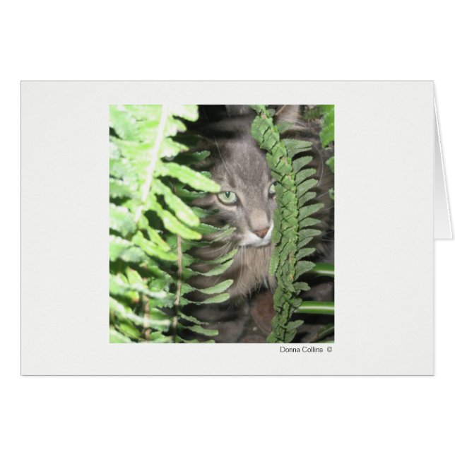 Max le chat n°2 (Devant Horizontal)