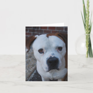 Maximiser la carte de note