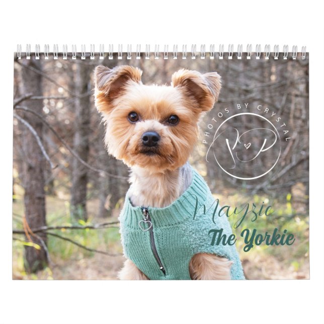 Mayzie Calendrier III (Style 2023) (Protection)