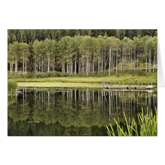 McCall Pond (Devant Horizontal)