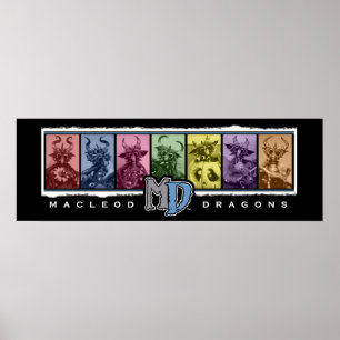 MD 36"x12" Colored Bar Poster
