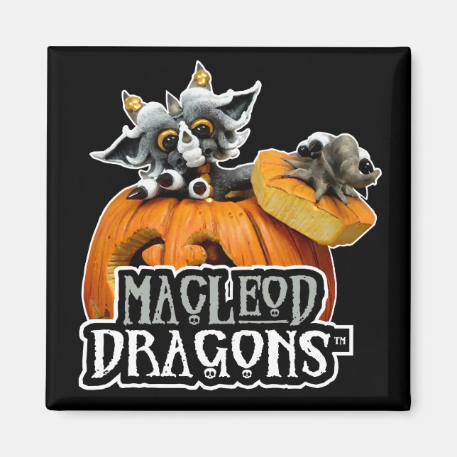 MD Citrouille Dragon Logo Magnet (Devant)