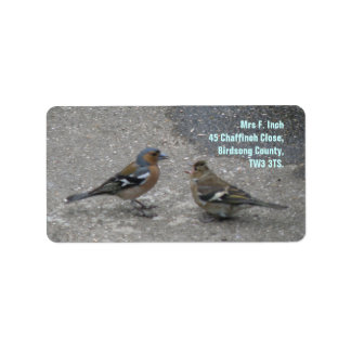 Me nourrir Chaffinch Étiquettes de adresse personn