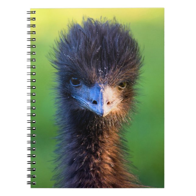 Me Regardes-Tu ? - Carnet Ostrich (Devant)