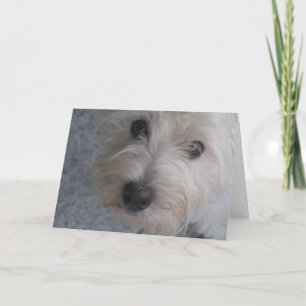 Me serrer dans mes bras - Carte