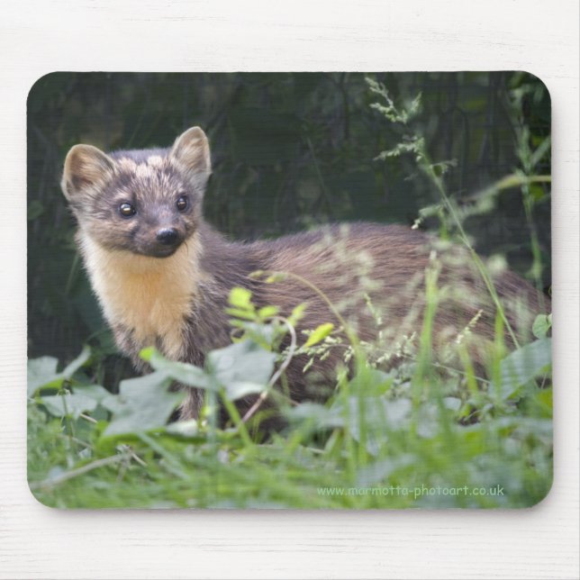 Meadow Marten Tapis de souris (Devant)