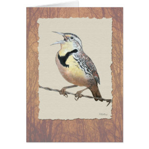 Meadowlark