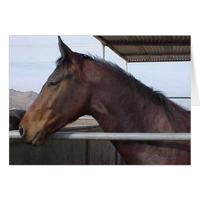 Meaghan (Devant Horizontal)