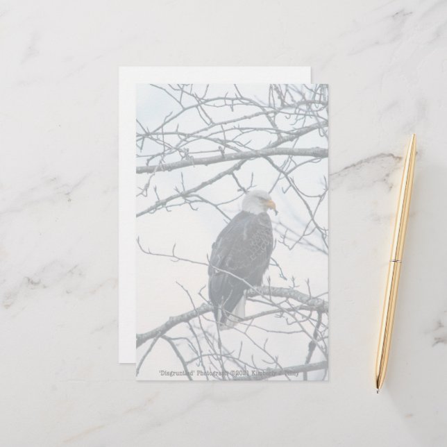 mécontent (Devant/Arrière en situation)