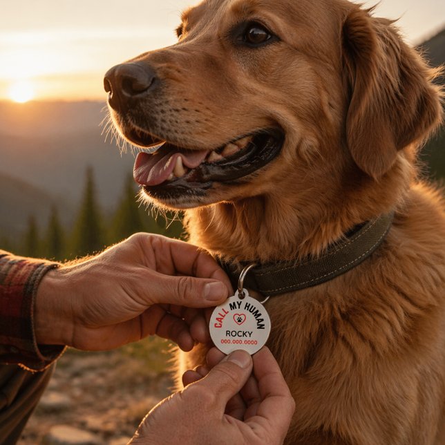 Médaille d'identification personnalisée pour anima (Personalized Pet Dog Id to help when your dog is lost. Includes name and contact number. )