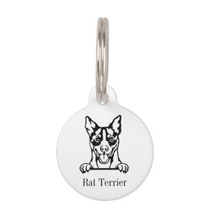 Médaille personnalisée pour chien Rat Terrier