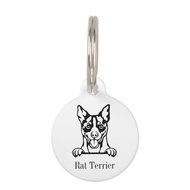 Médaille personnalisée pour chien Rat Terrier (Devant)
