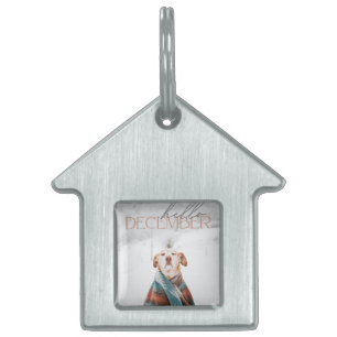 Médaille pour animal de compagnie encadrée