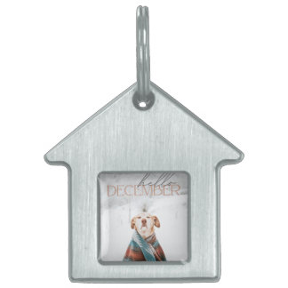 Médaille pour animal de compagnie encadrée