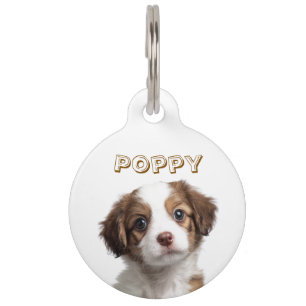 Médaille pour animaux personnalisée avec photo et