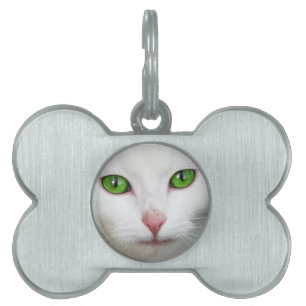 Médaille pour Chat Blanc aux Yeux Verts