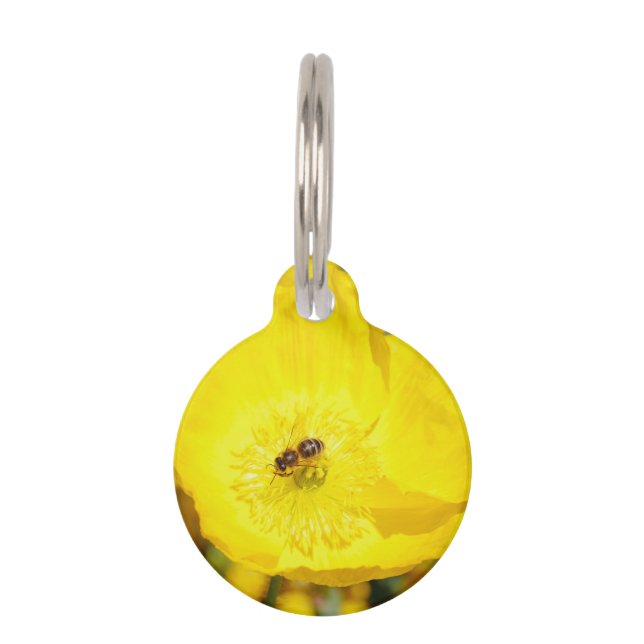Médaillon Pour Animaux Abeille baignée de jaune  (Devant)