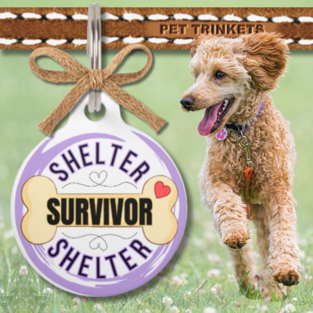 Médaillon Pour Animaux Abri Survivant Os de Chien Violet (Créateur téléchargé)