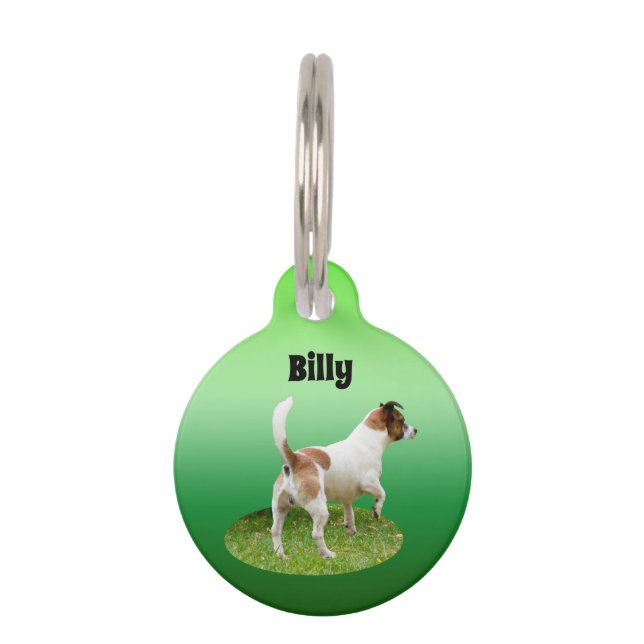 Médaillon Pour Animaux Alerte Fox Terrier Miniature, Insigne de Compagnie (Devant)