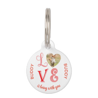 Médaillon Pour Animaux Alerte Médicale diabétique Red Heart Photo Pet ID