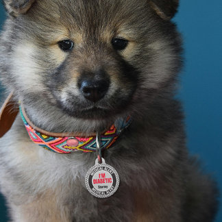 Médaillon Pour Animaux Alerte Médicale pour Animal de Compagnie Diabétiqu