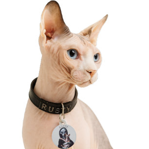 Médaillon Pour Animaux Alien Sphynx Chat Nom personnalisé Numéro d'identi