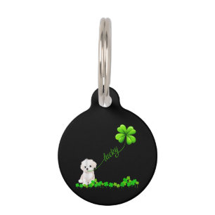 Médaillon Pour Animaux Amateur de chien   Trèfle irlandais Chanceux Avec 