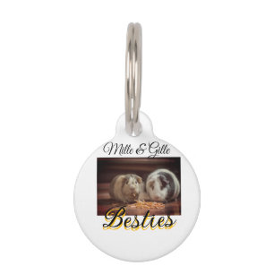 Médaillon Pour Animaux amis animaux meilleurs amis ajouter nom photo anim