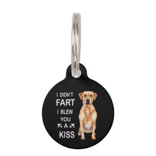 Médaillon Pour Animaux Amoureux des chiens Labrador Je n'ai pas péter je 