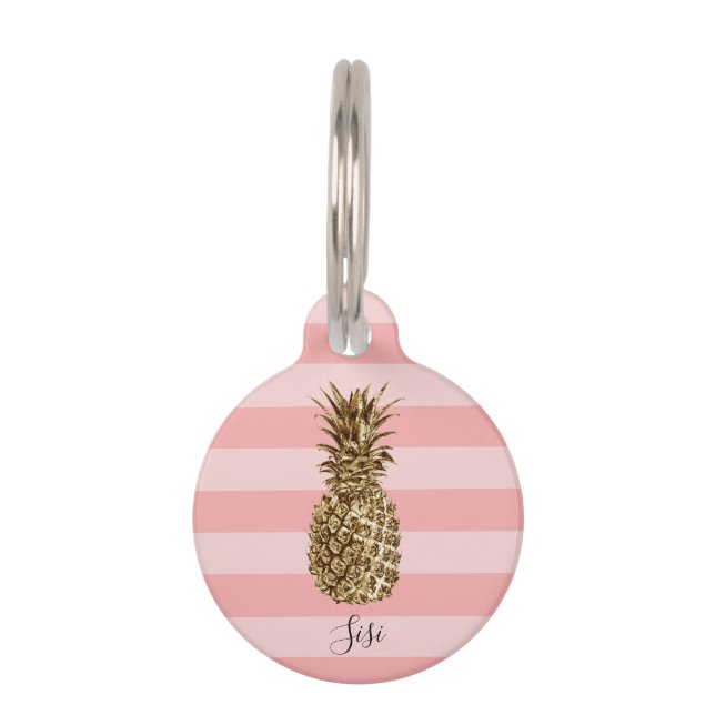 Médaillon Pour Animaux Ananas et rayure rose joli et élégant (Devant)