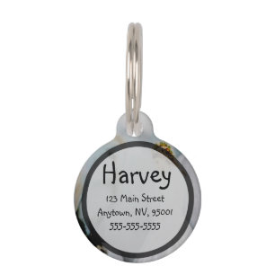 Médaillon Pour Animaux Ange gardien de soin et hibou blanc par Amelia