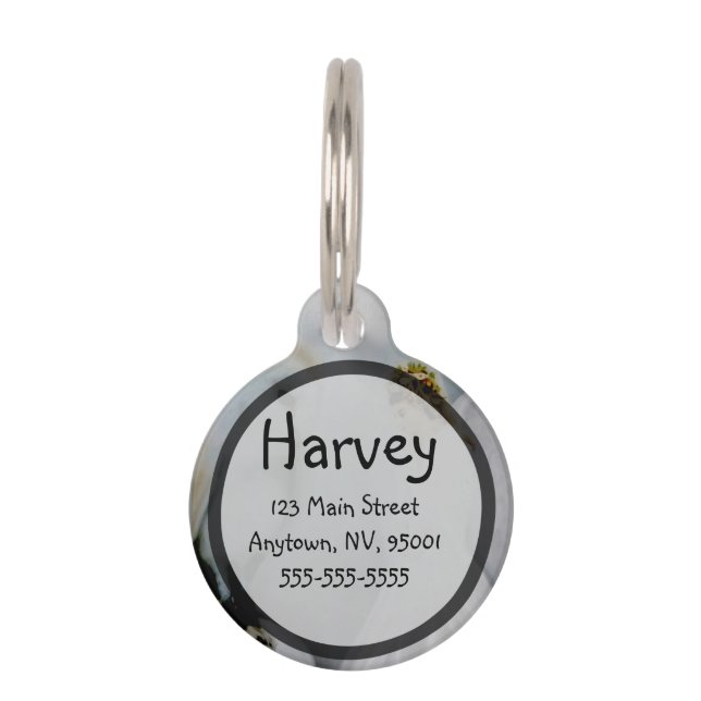 Médaillon Pour Animaux Ange gardien de soin et hibou blanc par Amelia (Devant)