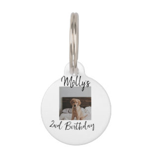 Médaillon Pour Animaux Animateur chien chat animal photo moderne simple