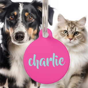 Médaillon Pour Animaux Aqua bleu nom numéro de téléphone script bold rose